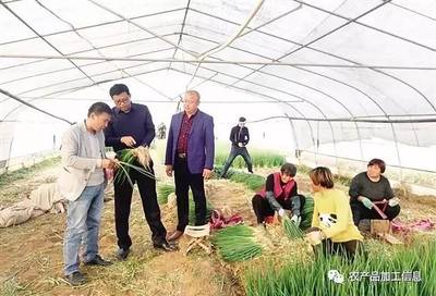 邯鄲滏東現代農業產業園“畝產”為何那么高？化肥雖非全部，但分寸間見真章